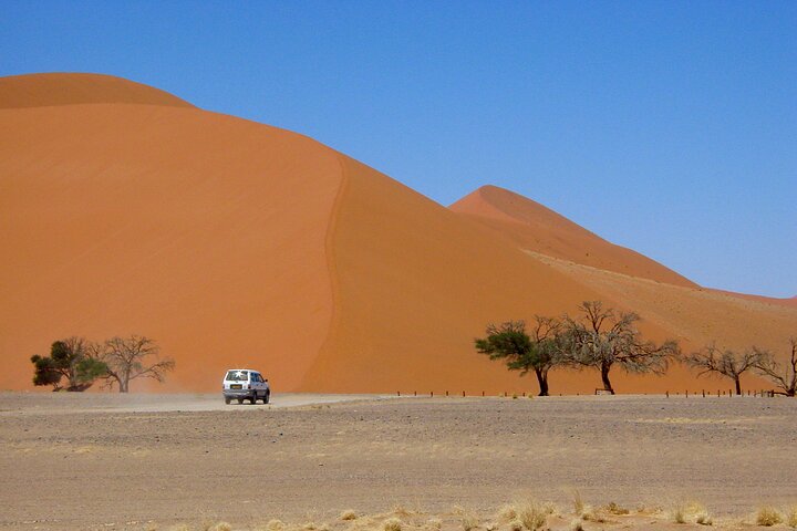 1 noche todo incluido paseo en camello y campamento en el desierto