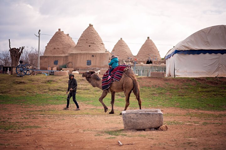 Visita guiada privada de 10 días con todo incluido por Mesopotamia
