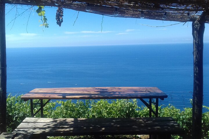 Cinque Terre med tog og båd
