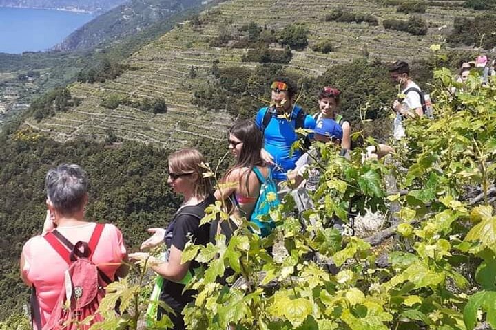Cinque Terre med tog og båd