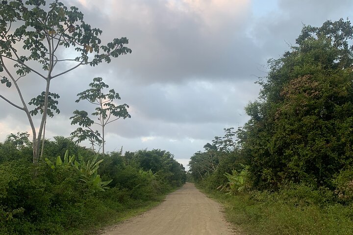 3-daagse privétour van Tegucigalpa naar Tela en La Ceiba