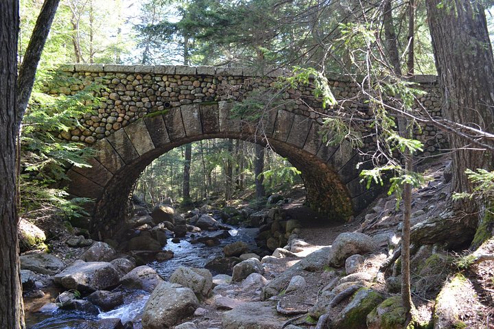 Tour privado de 3 horas por lo mejor de Acadia : Cadillac & Park Loop Road