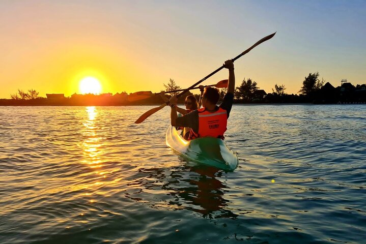 Kayak Mangroves Sunrise Expérience