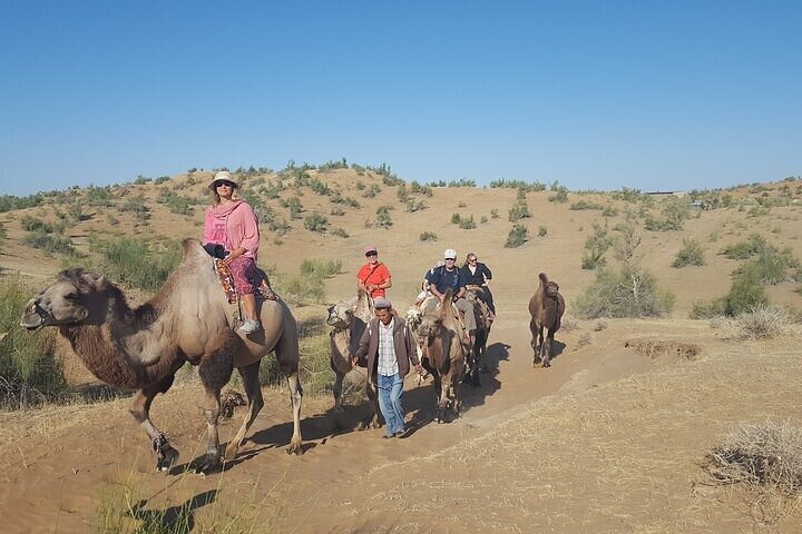 Nurata Mountain & Kyzyl-kum Desert 3 Day Tour From Samarkand or Bukhara