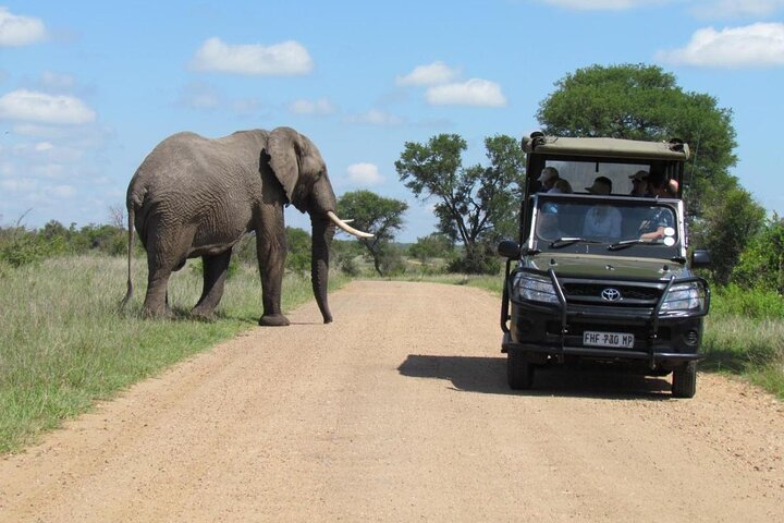 All Inclusive 2 dagars Kruger Safari från Johannesburg