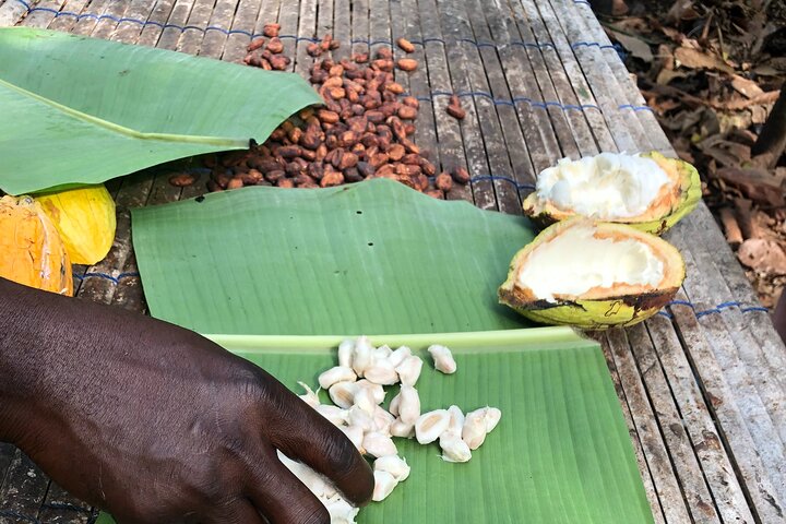 Waterfalls, Aburi Botanical Gardens and a Cocoa Farm Experience.