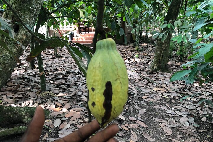 Waterfalls, Aburi Botanical Gardens and a Cocoa Farm Experience.