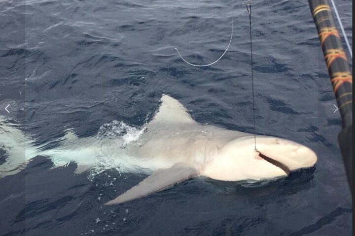 Privat offshore fiske charter från Port Aransas