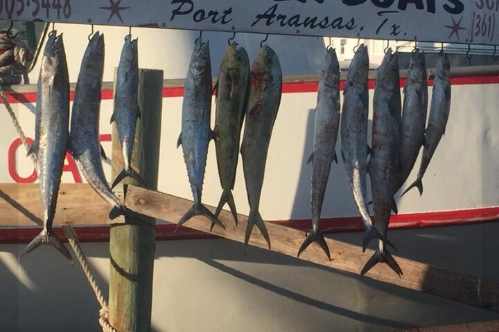 Privat offshore fiske charter från Port Aransas