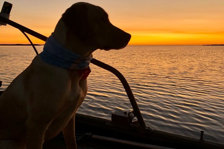 Privat Dolphin Watch och Sunset Boat Tour Port Aransas Texas