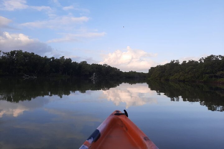 Esperienza in kayak nelle mangrovie dell'isola di Holbox
