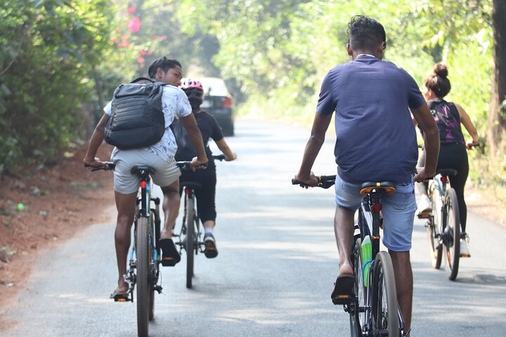 Tour en bicicleta eléctrica por la isla de Chorao ciclismo Zens