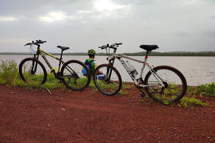 Tour en bicicleta eléctrica por la isla de Chorao ciclismo Zens
