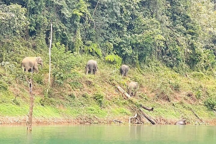 Geweldige eendaagse trip naar het meer van Cheow Larn vanuit Khao Lak