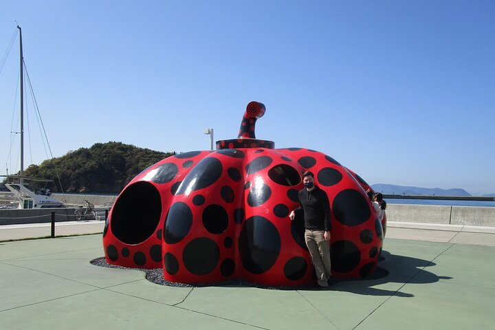 Naoshima Kunstinsel in 1 Tagestour mit lizenziertem Fortgeschrittener
