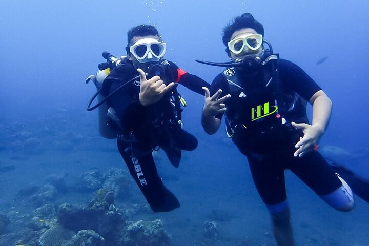 Bali Ganztägige Erlebnis-Tauchtour in Tulamben