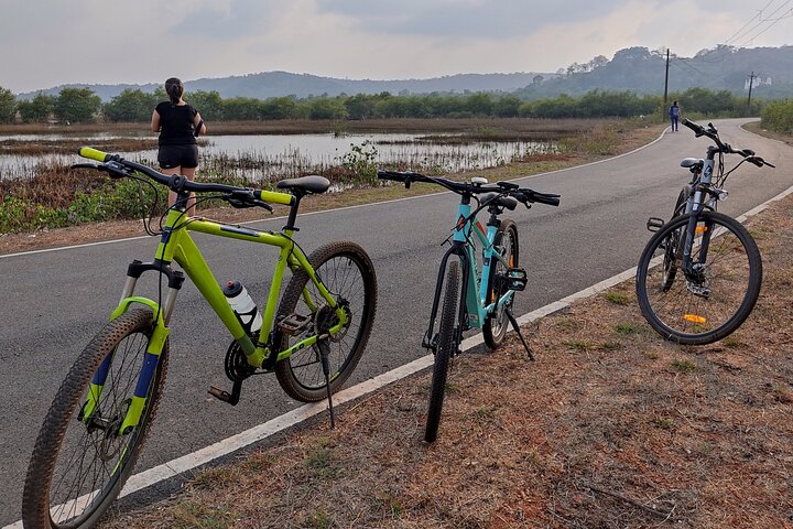 Tour en bicicleta eléctrica por la isla de Chorao ciclismo Zens