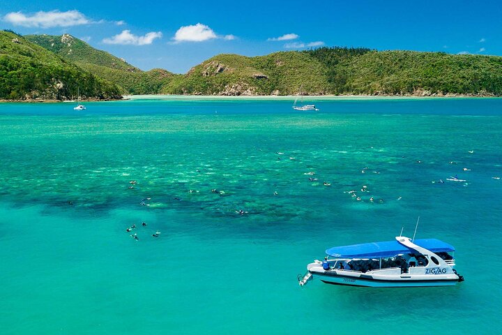 Snorkel & Whitehaven Beach Eco Cruise, Lunch | Från Airlie Beach