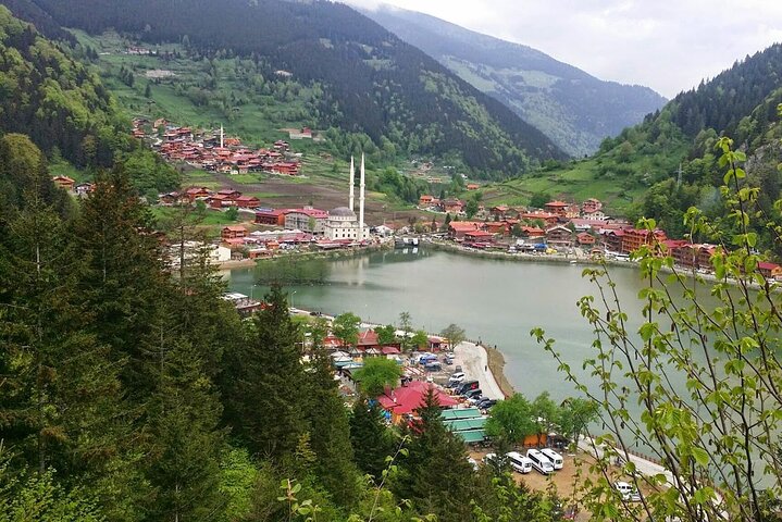 Uzungöl-Tour: Ganztägiges Naturabenteuer mit Besuch einer Teefabrik