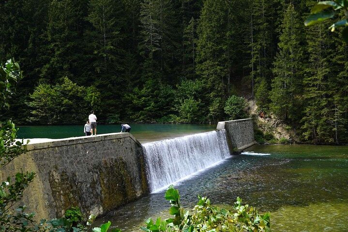 Uzungöl-Tour: Ganztägiges Naturabenteuer mit Besuch einer Teefabrik