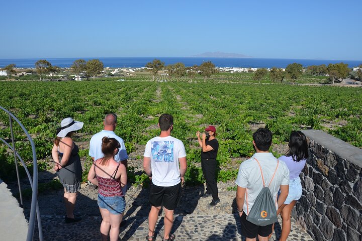 Santorini vinsmagning og premium frokost på det prisvindende vingård
