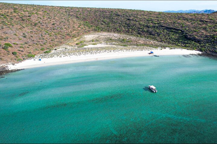 Aventura a Isla Espíritu Santo: Snorkel con Lobos Marinos y Playa