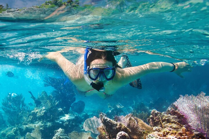 Los Tuneles Day Tour Snorkeling and Swimming with Wildlife