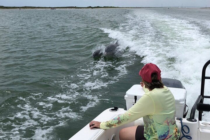 Privat Dolphin Watch och Sunset Boat Tour Port Aransas Texas