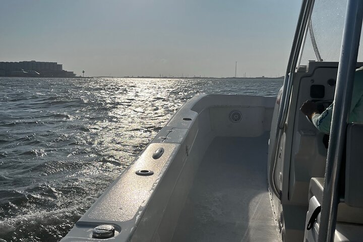 Privat Dolphin Watch och Sunset Boat Tour Port Aransas Texas