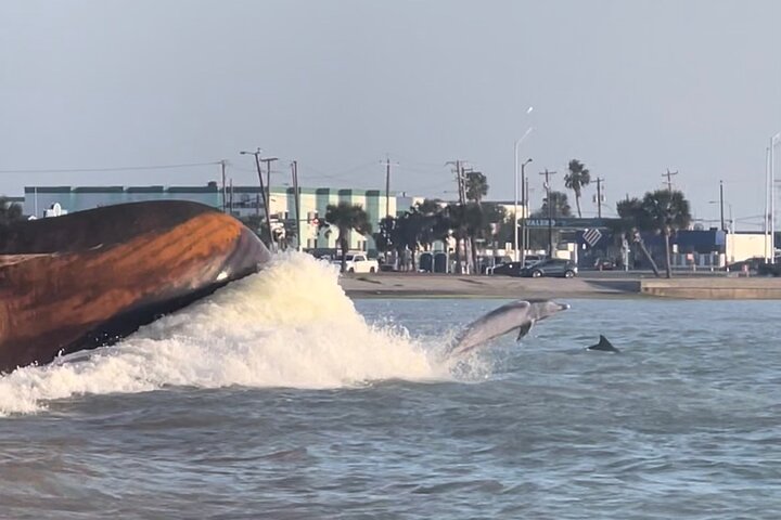 Privat Dolphin Watch och Sunset Boat Tour Port Aransas Texas