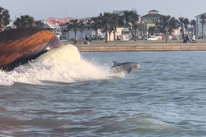 Privat Dolphin Watch och Sunset Boat Tour Port Aransas Texas
