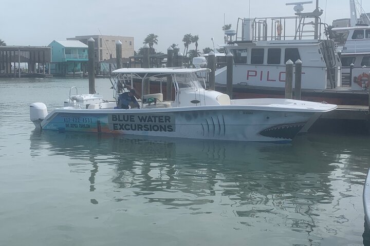 Privat Dolphin Watch och Sunset Boat Tour Port Aransas Texas