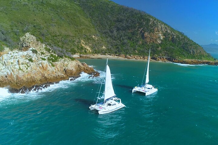 Knysna Sunset Sailing Cruise med kaptensbiff Braai & Bubbly