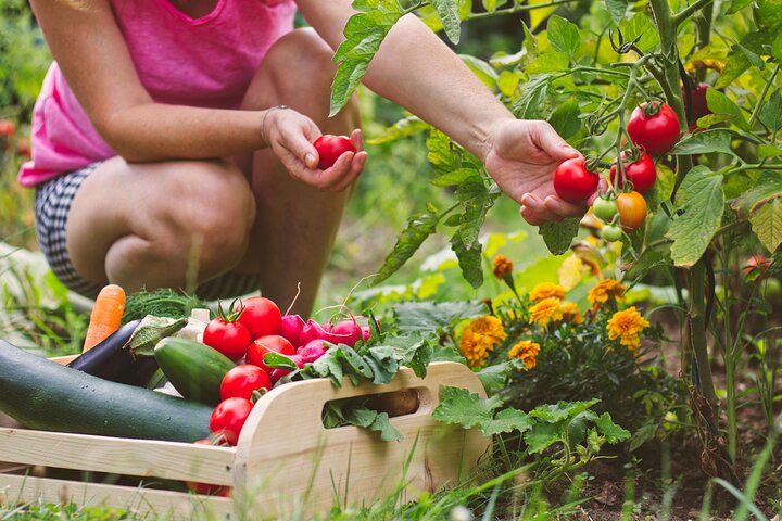 Corso di cucina pratico e tour in agriturismo in Costiera Amalfitana