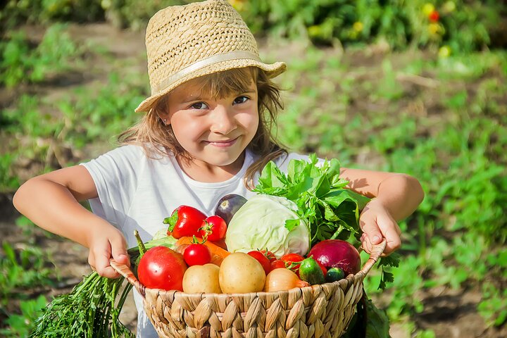 Corso di cucina pratico e tour in agriturismo in Costiera Amalfitana