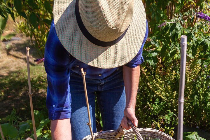 Corso di cucina pratico e tour in agriturismo in Costiera Amalfitana