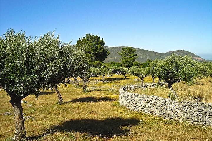 Tour privato di un'intera giornata al parco naturale Aire e Candeeiros da ovest