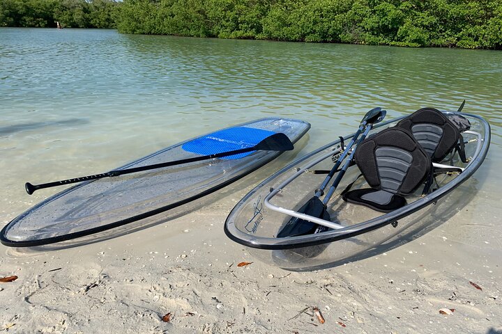 EcoTour guidato dell'isola: kayak CLEAR/Standard, SUP - Bonita Springs