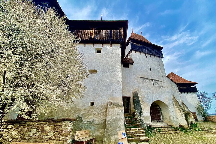 Excursão de Sighisoara, Viscri & Rupea em pequenos grupos saindo de Brasov