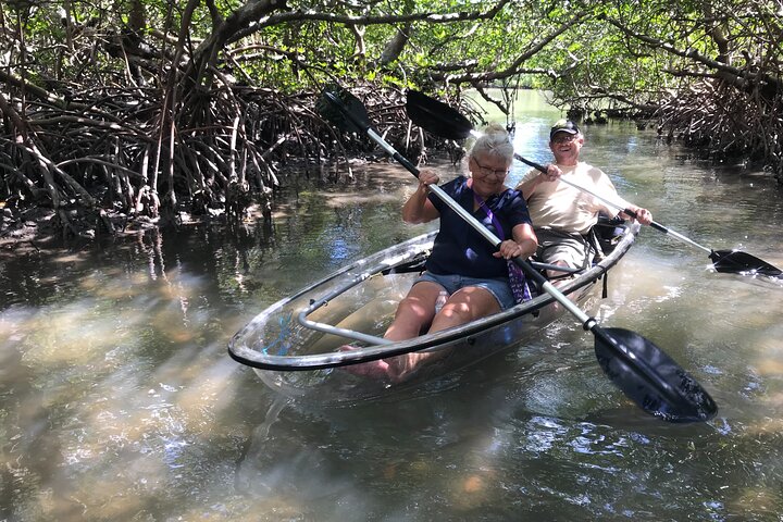 EcoTour guidato dell'isola: kayak CLEAR/Standard, SUP - Bonita Springs