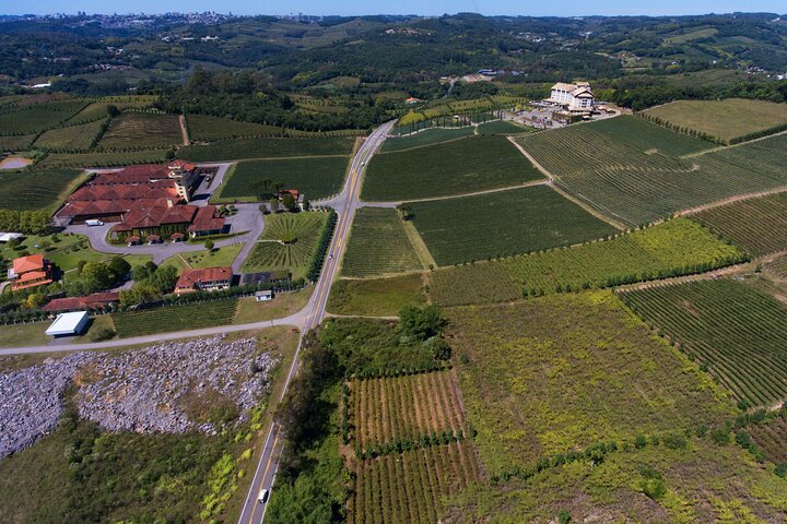 Tour de cata de vinos con paseo en tren Maria Fumaça