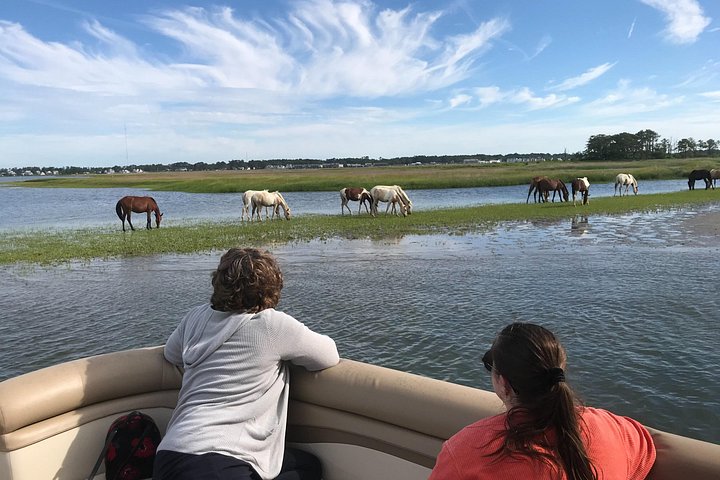 Grand Boat Tour van Chincoteague en Assateague met kapitein John