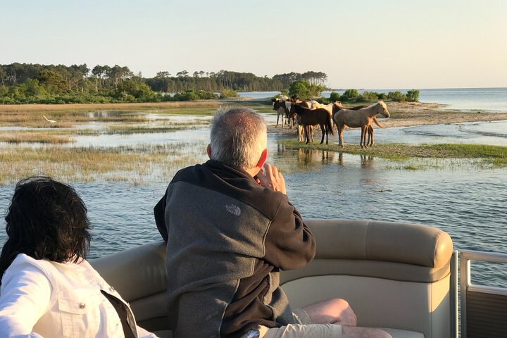 Grand Boat Tour van Chincoteague en Assateague met kapitein John