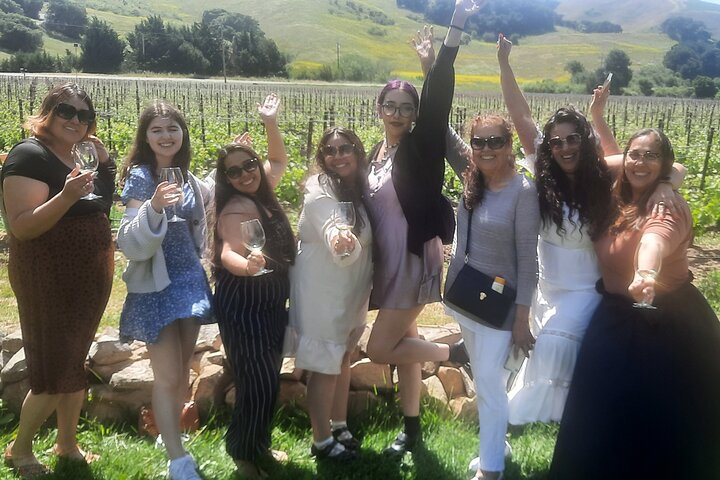 Excursão vinícola com tudo incluído para grupos pequenos em Solvang Santa Ynez Valley