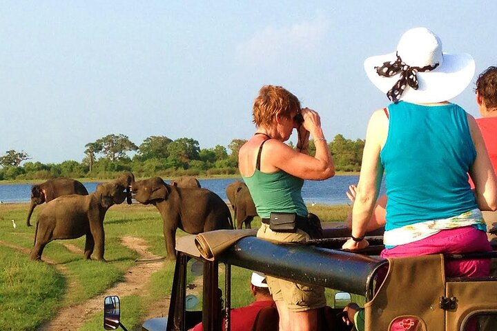 Ella: Transport til Tangalle/Mirissa/Galle og Yala/Udawalawe Safari
