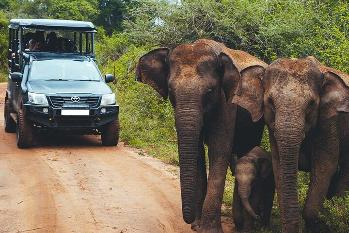 Ella: Transport til Tangalle/Mirissa/Galle og Yala/Udawalawe Safari