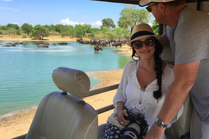 Ella: Transport til Tangalle/Mirissa/Galle og Yala/Udawalawe Safari