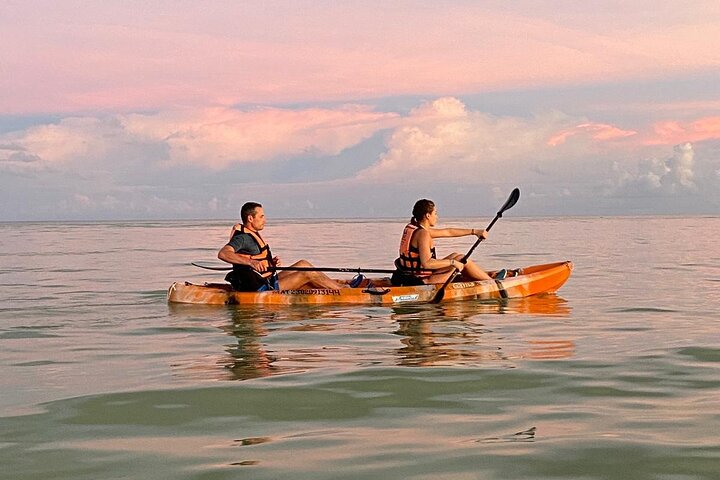 Esperienza in kayak nelle mangrovie dell'isola di Holbox