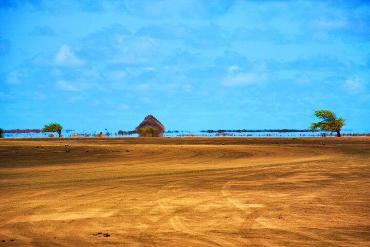 Activiteiten in de omgeving van Sal Island All-Inclusive Shark Bay