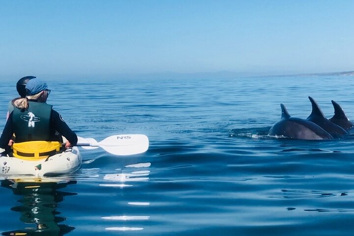 Kajakverhuur voor twee personen in La Jolla